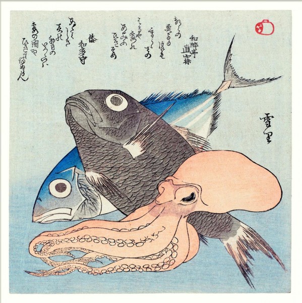 Sashimi Gang No.2, ungerahmt, 61x61cm