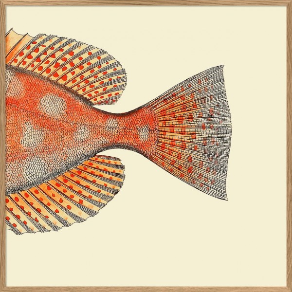 Dotted Orange Fish Tail, Rahmen Eiche, 61x61cm