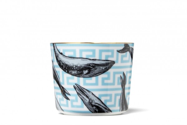 Becher Beautiful Creatures, Whale